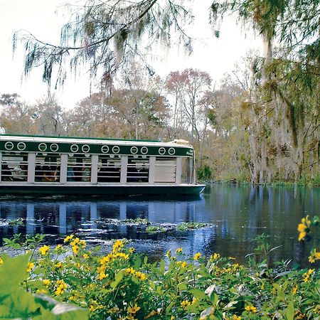 Howard Johnson By Wyndham Ocala Fl I-75 Exteriér fotografie